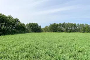 46635 S Pine Lake Rd, Gonvick, MN 56644 - Photo 67