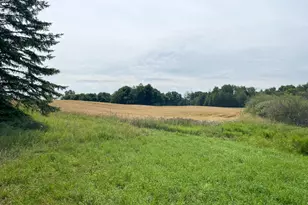46635 S Pine Lake Rd, Gonvick, MN 56644 - Photo 61