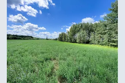 46635 S Pine Lake Road, Gonvick, MN 56644 - Photo 69