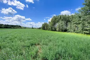 46635 S Pine Lake Rd, Gonvick, MN 56644 - Photo 69