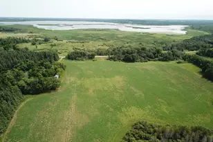 46635 S Pine Lake Rd, Gonvick, MN 56644 - Photo 19