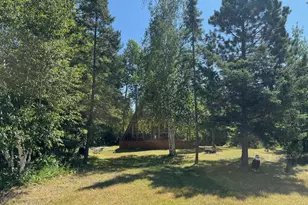 30298 Misty Ln NE, Pennington, MN 56663 - Photo 9