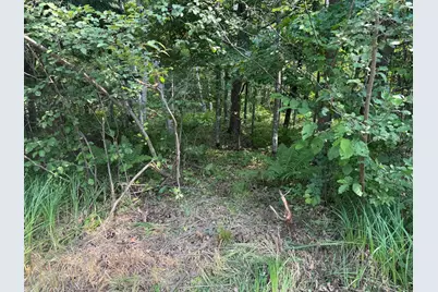 Tbd Woodstock Road, Sturgeon Lake, MN 55783 - Photo 1