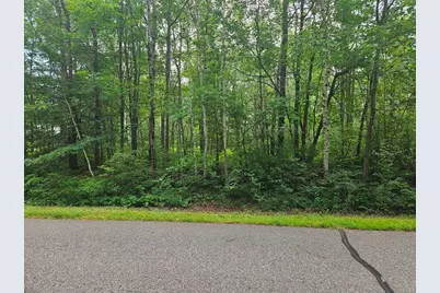 Lot 4 Blk 2 SW 1st Avenue, Grand Rapids, MN 55744 - Photo 3