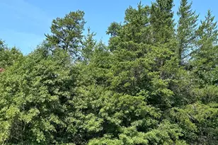 417 Henrietta Ave N, Park Rapids, MN 56470 - Photo 29