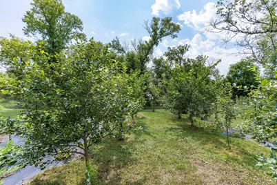 42406 195th Street, Clitherall, MN 56524 - Photo 35
