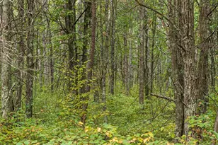 Lot F Sandbar Ln, Merrifield, MN 56465 - Photo 1