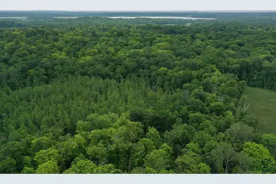 Tbd N Cotton Lake Road, Rochert, MN 56578 - Photo 3