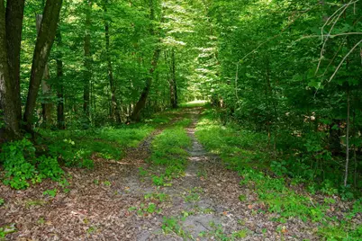 Tbd N Cotton Lake Road, Rochert, MN 56578 - Photo 21
