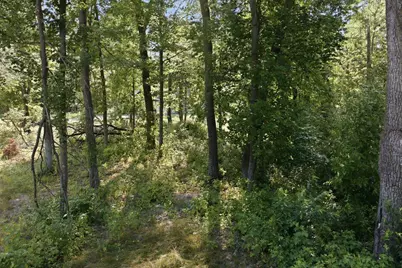 Tbd Maplewood Ridge Road, East Gull Lake, MN 56401 - Photo 5