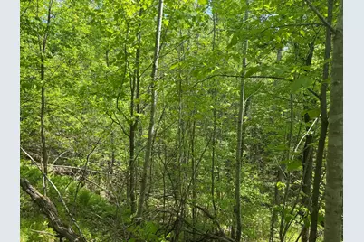 68Xxx Old Ferry Road, Hinckley, MN 55037 - Photo 27