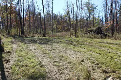 Tbd Woods Road, Isle, MN 56342 - Photo 17