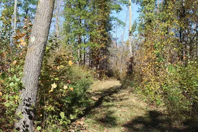 Tbd Woods Road, Isle, MN 56342 - Photo 25