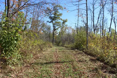 Tbd Woods Road, Isle, MN 56342 - Photo 11