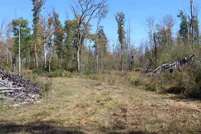 Tbd Woods Road, Isle, MN 56342 - Photo 21