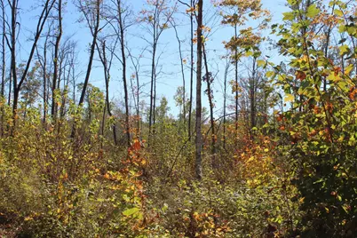 Tbd Woods Road, Isle, MN 56342 - Photo 13