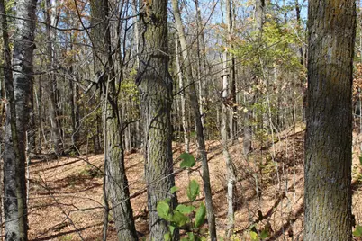 Tbd Woods Road, Isle, MN 56342 - Photo 1