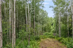 6550 Otter Run Ln SW, Motley, MN 56466 - Photo 37