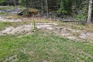 2101 Co Rd 138, International Falls, MN 56649 - Photo 27