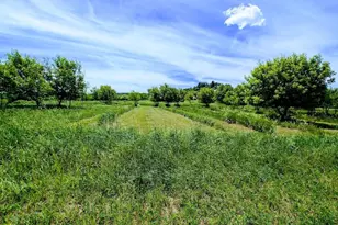 407 23rd St, Chetek, WI 54728 - Photo 59