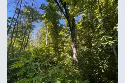 Lot 1 County Road Bb, Woodville, WI 54028 - Photo 1