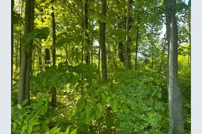 Lot 1 County Road Bb, Woodville, WI 54028 - Photo 5