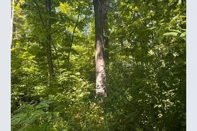 Lot 1 County Road Bb, Woodville, WI 54028 - Photo 5