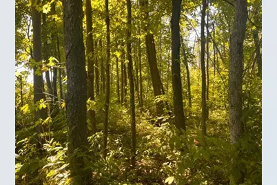 Lot 1 County Road Bb, Woodville, WI 54028 - Photo 1