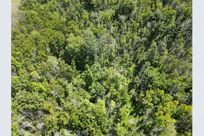 Lot 1 County Road Bb, Woodville, WI 54028 - Photo 9