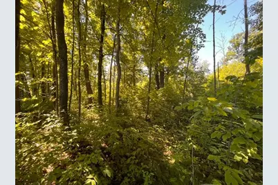 Lot 1 County Road Bb, Woodville, WI 54028 - Photo 7