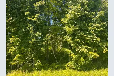 Lot 1 County Road Bb, Woodville, WI 54028 - Photo 3