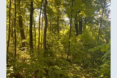 Lot 1 County Road Bb, Woodville, WI 54028 - Photo 7
