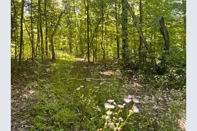 Lot 2 County Rd Bb, Woodville, WI 54028 - Photo 1