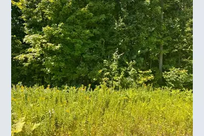 Lot 2 County Rd Bb, Woodville, WI 54028 - Photo 3