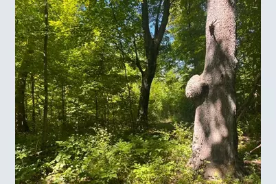 Lot 2 County Rd Bb, Woodville, WI 54028 - Photo 7