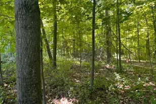 Lot 2 County Rd Bb, Woodville, WI 54028 - Photo 1