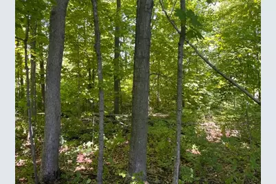 Lot 2 County Rd Bb, Woodville, WI 54028 - Photo 5