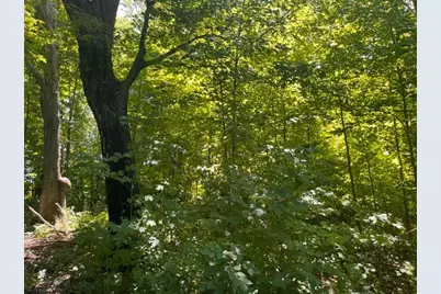 Lot 2 County Rd Bb, Woodville, WI 54028 - Photo 7