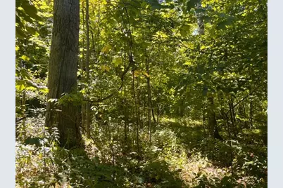 Lot 3 60th Avenue, Woodville, WI 54028 - Photo 7