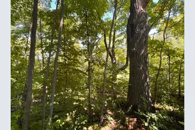 Lot 3 60th Avenue, Woodville, WI 54028 - Photo 11