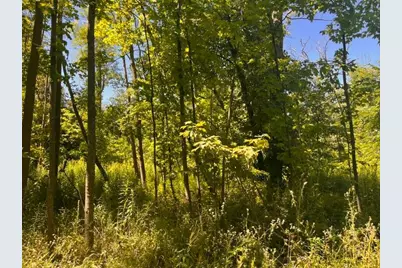 Lot 3 60th Avenue, Woodville, WI 54028 - Photo 5
