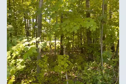 Lot 3 60th Avenue, Woodville, WI 54028 - Photo 15