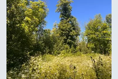 Lot 3 60th Avenue, Woodville, WI 54028 - Photo 13