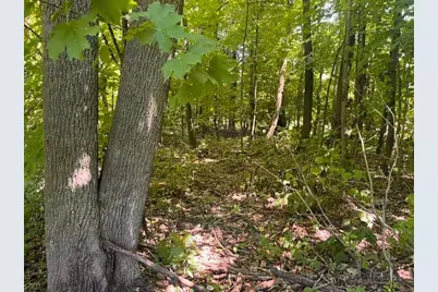 Lot 3 60th Avenue, Woodville, WI 54028 - Photo 17