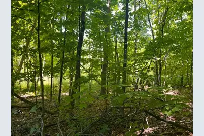 Lot 3 60th Avenue, Woodville, WI 54028 - Photo 3