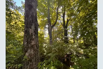 Lot 3 60th Avenue, Woodville, WI 54028 - Photo 9