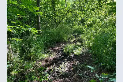000 Beroun Crossing Rd, Brook Park, MN 55007 - Photo 9