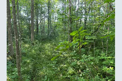 000 Beroun Crossing Rd, Brook Park, MN 55007 - Photo 5