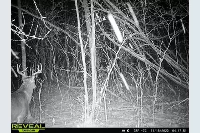 000 Beroun Crossing Rd, Brook Park, MN 55007 - Photo 25