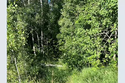 000 Beroun Crossing Rd, Brook Park, MN 55007 - Photo 13